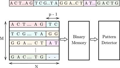 Hardware acceleration of DNA pattern matching using analog resistive CAMs